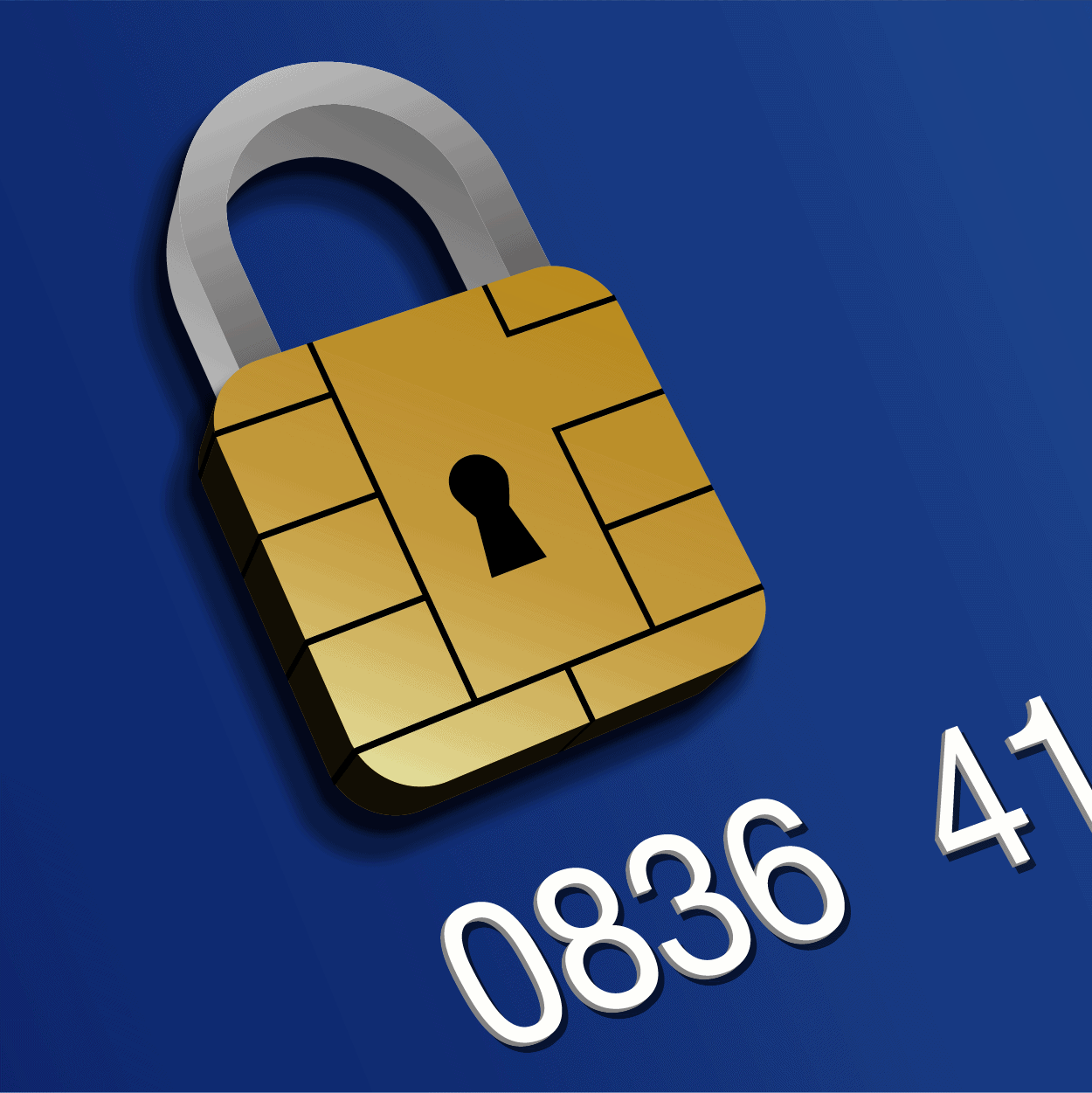 secure credit card processing